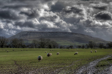 Pendle Hill