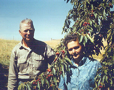 Frank and Betty in the orchard.