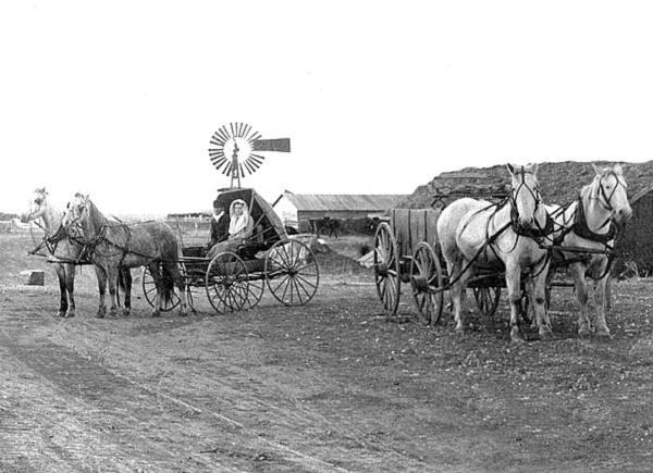 John Carlson Farm - Closeup of carriage