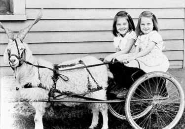 Mary and Tommy in the goat cart.