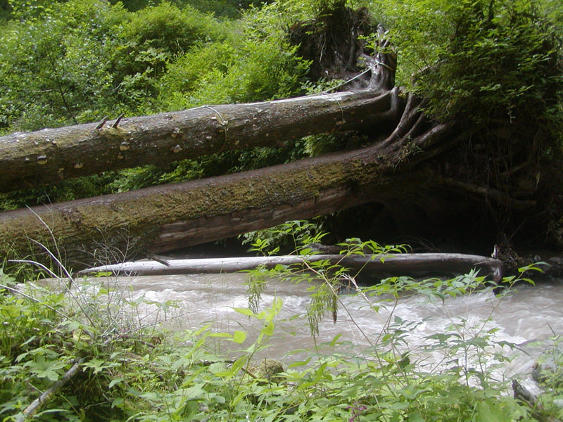 Muddy Fork Crossing