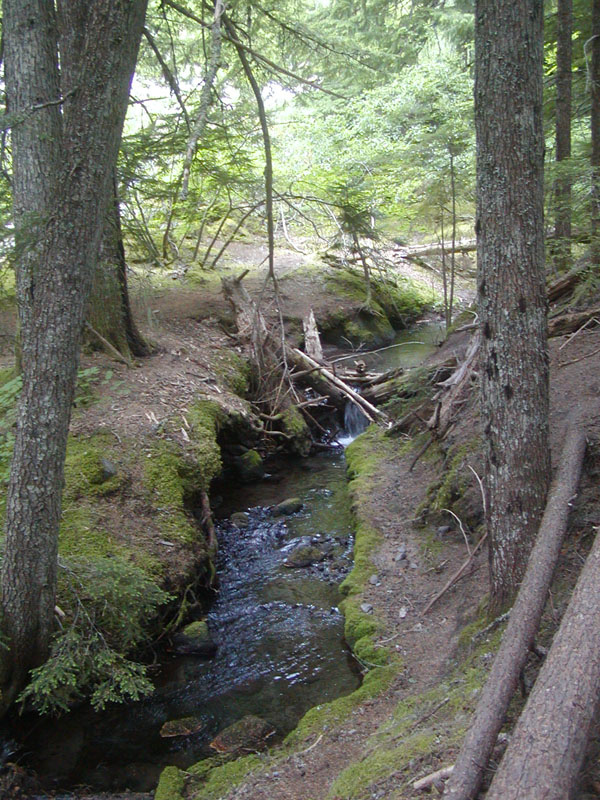 Creek below Ramona Falls