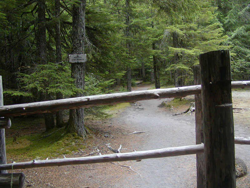 Start of the Ramona Falls Trail