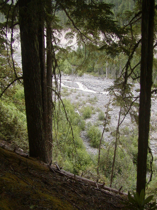 Sandy River from the trail along the canyon