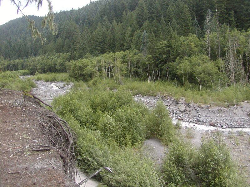 Sandy River ... nearing the bottom of the trail