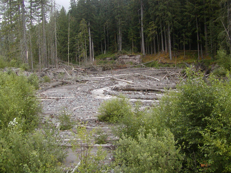 Looking back up the Sandy River